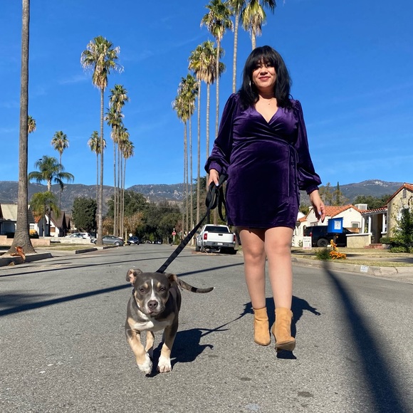 Meet Posh Ambassador Blue Lilly Pad (Patricia) - Picture 1 of 8